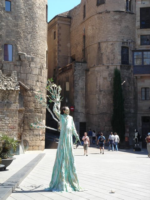 DSC01010.JPG