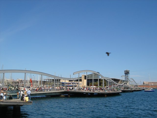 DSC01021.JPG
