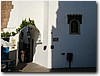 DSC00979.JPG