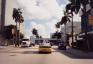 miami19.jpg