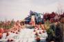 universal3.jpg
